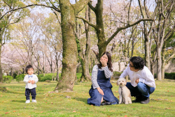 家族と桜と一緒にペット撮影