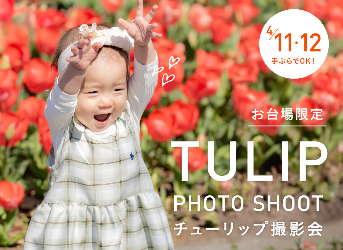 【お台場限定】4月11日（土）・12日（日）チューリップ撮影会（19,800円／30分撮影・50カット）