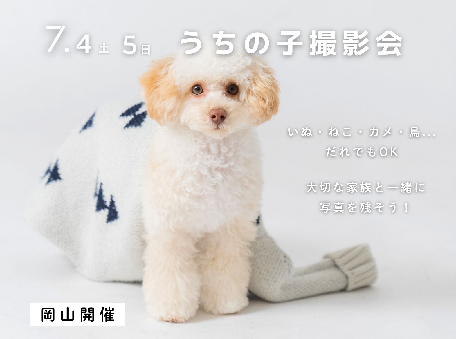 【岡山】2026年7月4日(土)7月5日(日)開催｜うちの子撮影会【ペットフォト】