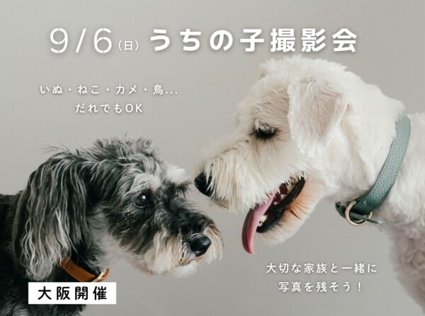 【大阪】9月6日開催｜うちの子撮影会（ペットフォト19,800円〜）
